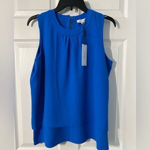 Calvin Klein Women's Vibrant Blue Blouse